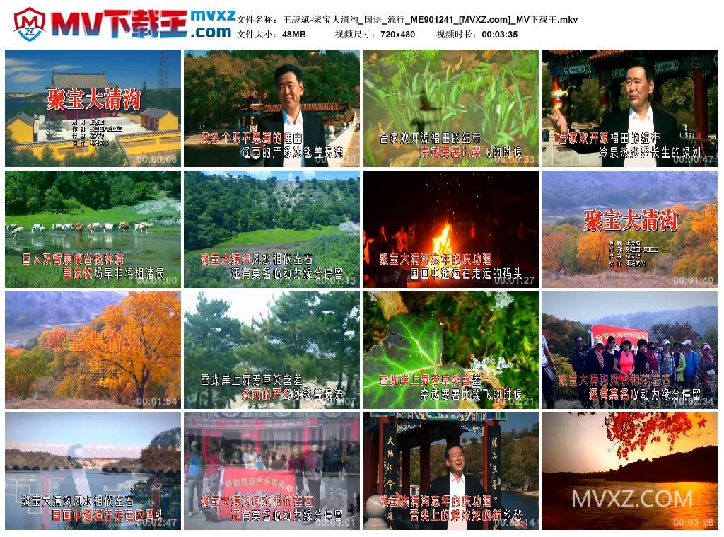 王庚斌-聚宝大清沟_国语_流行_ME901241